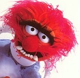 Tut mir leid, aber ein besseres Foto hab' ich nicht...